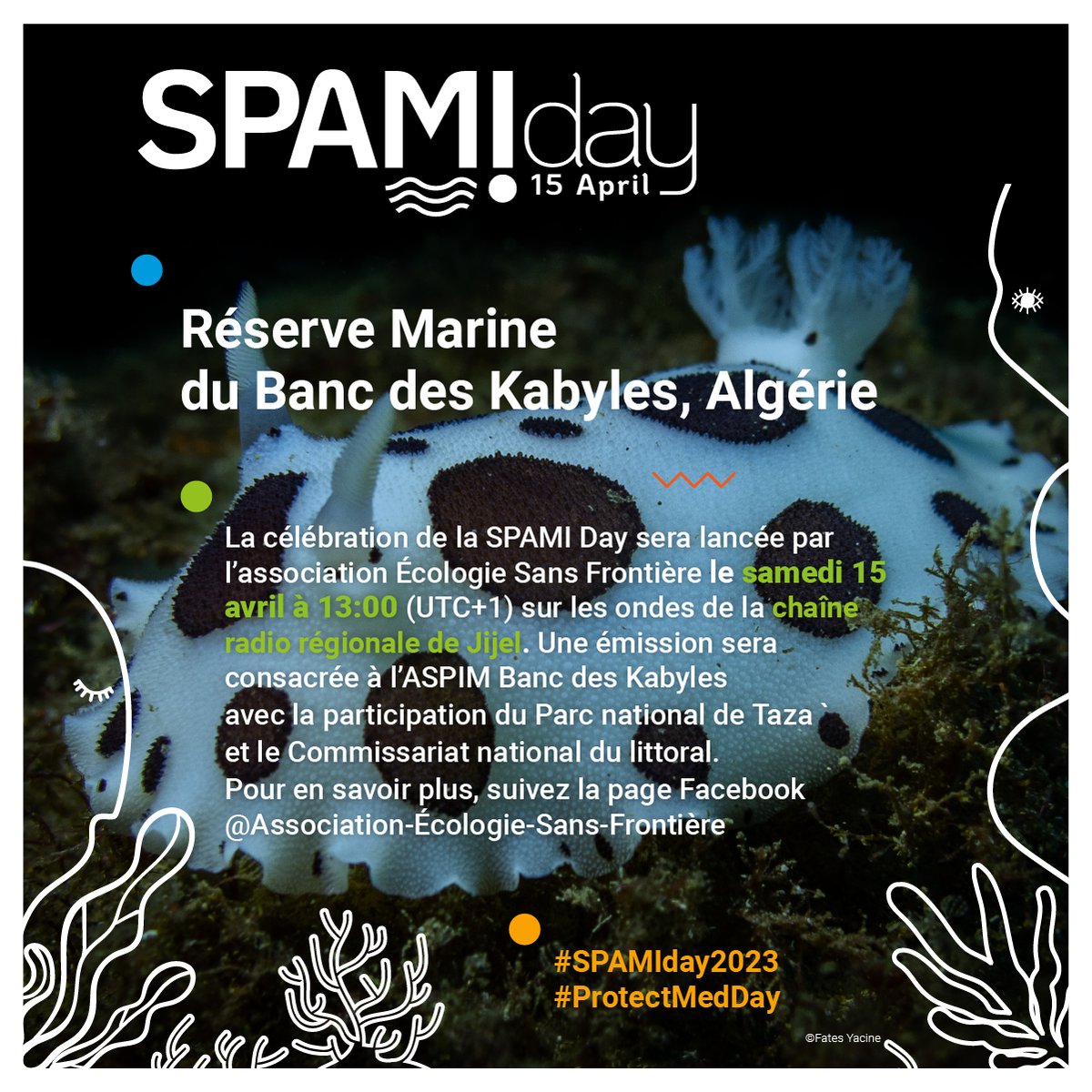 SPARACinfos's tweet photo. Demain 15 avril aura lieu la 2ème édition de la SPAMI Day, qui célèbre les Aires Spécialement Protégées d'Importance Méditerranéenne et la Conservation de la #Biodiversité Marine. Voici un aperçu des événements organisés dans les #ASPIM
⭐️🌊 #SPAMIday2023 https://t.co/4dy8o5ICZx
