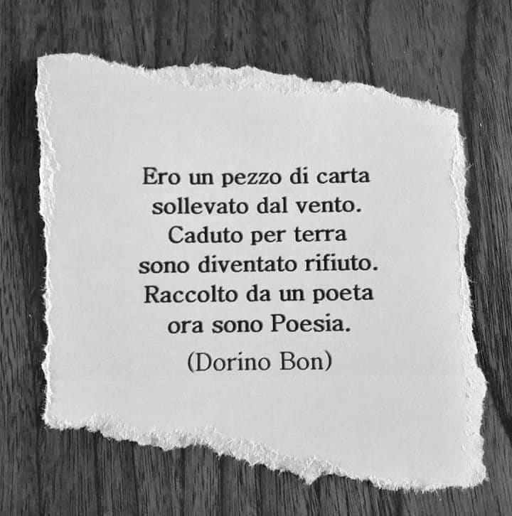 DorinoBon's tweet image. Ero un pezzo di carta sollevato dal vento.
Caduto per terra sono diventato rifiuto.
Raccolto da un poeta ora sono Poesia.
(Dorino Bon)#poesia #Tarantola #Udine #Fvglive