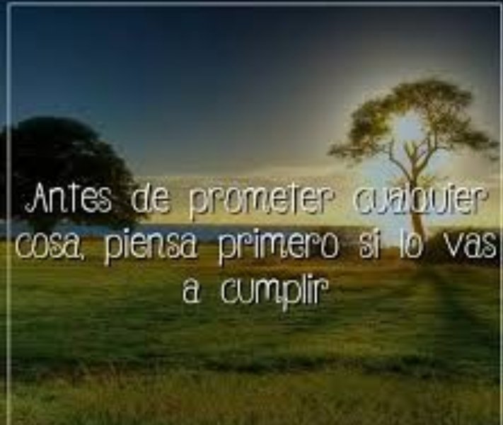 Yepe0904's tweet photo. Cansada de promesas inconclusas e ilusiones mal dadas 🤔🪳 https://t.co/2PT9pxRvZg