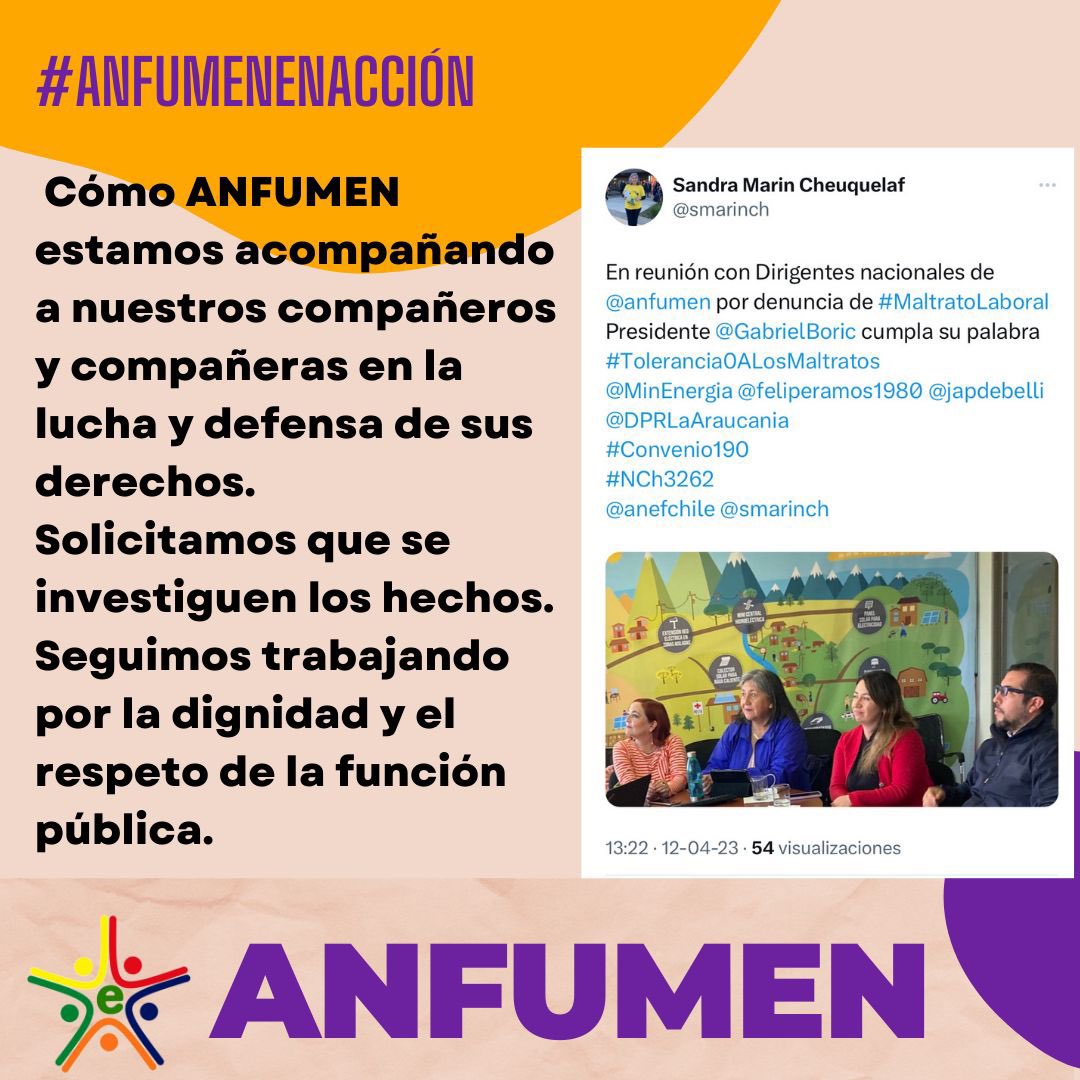 ANEF ARAUCANIA tweet media