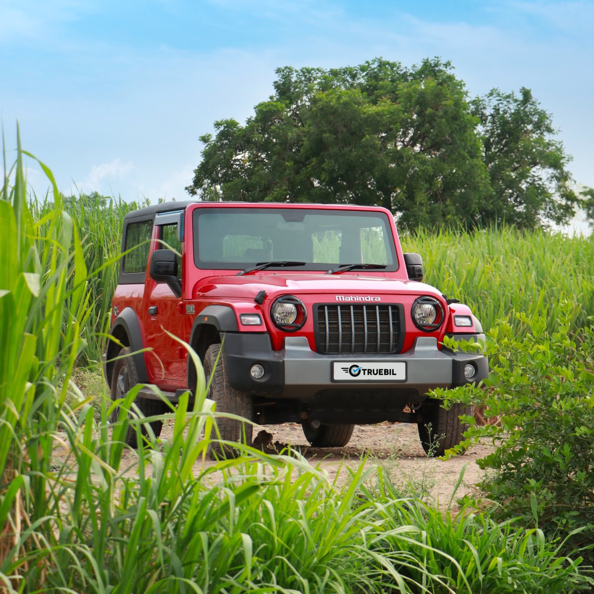 Let the bountiful harvest bring an abundance of joy, happiness, and prosperity to all your endeavours this season #HappyBaisakhi 🌾✨

#Truebil