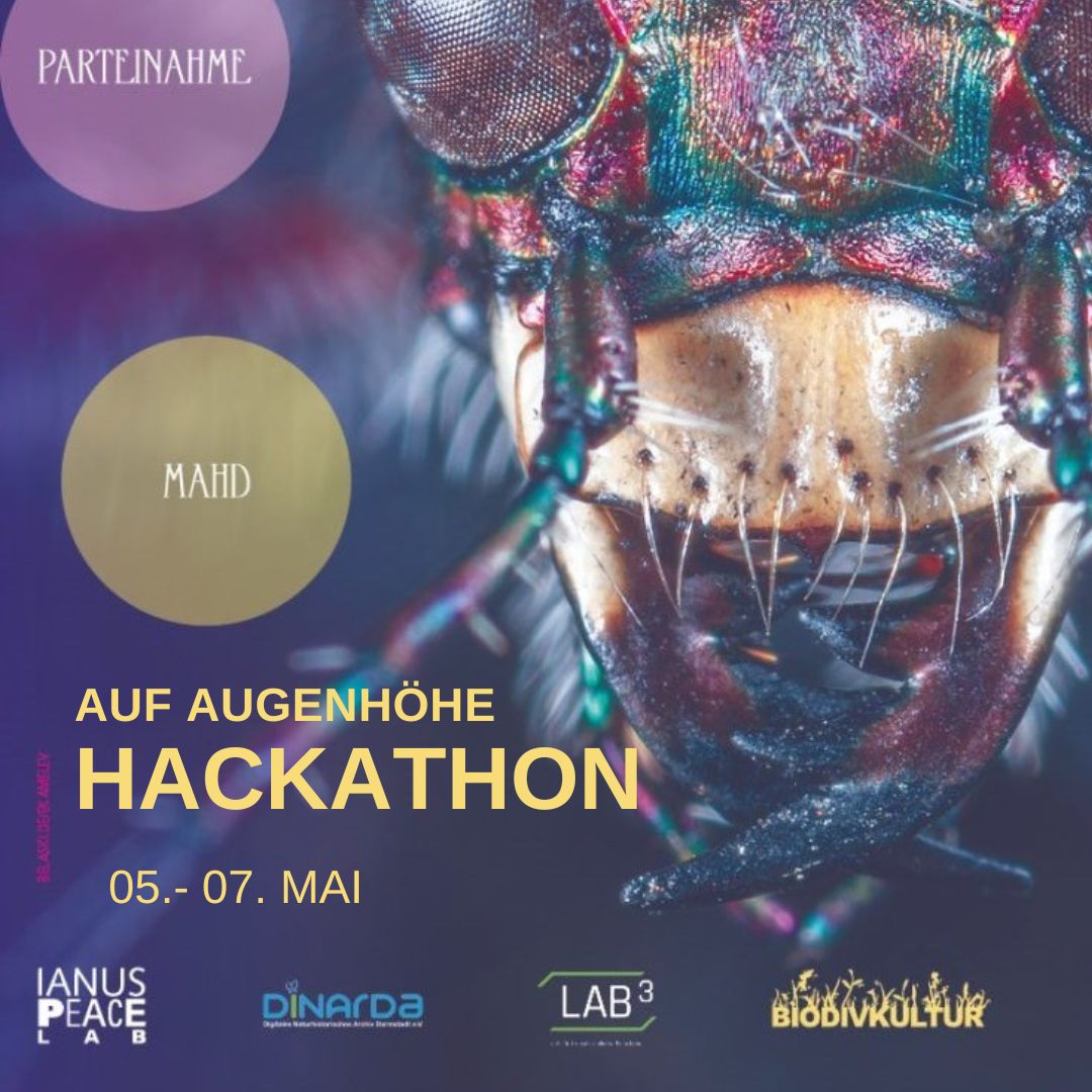 Vom 05. – 07. Mai findet unser #Hackathon “Auf Augenhöhe” im #LAB3 in #Darmstadt statt.
In einer Ideenwerkstatt wollen wir Mensch-Insekt Beziehungen erkunden, um ein biodivers friedliches Zusammenleben ☮️🐛🐜zu ermöglichen – auf #Grünflächen, im städtischen Raum.🧵
