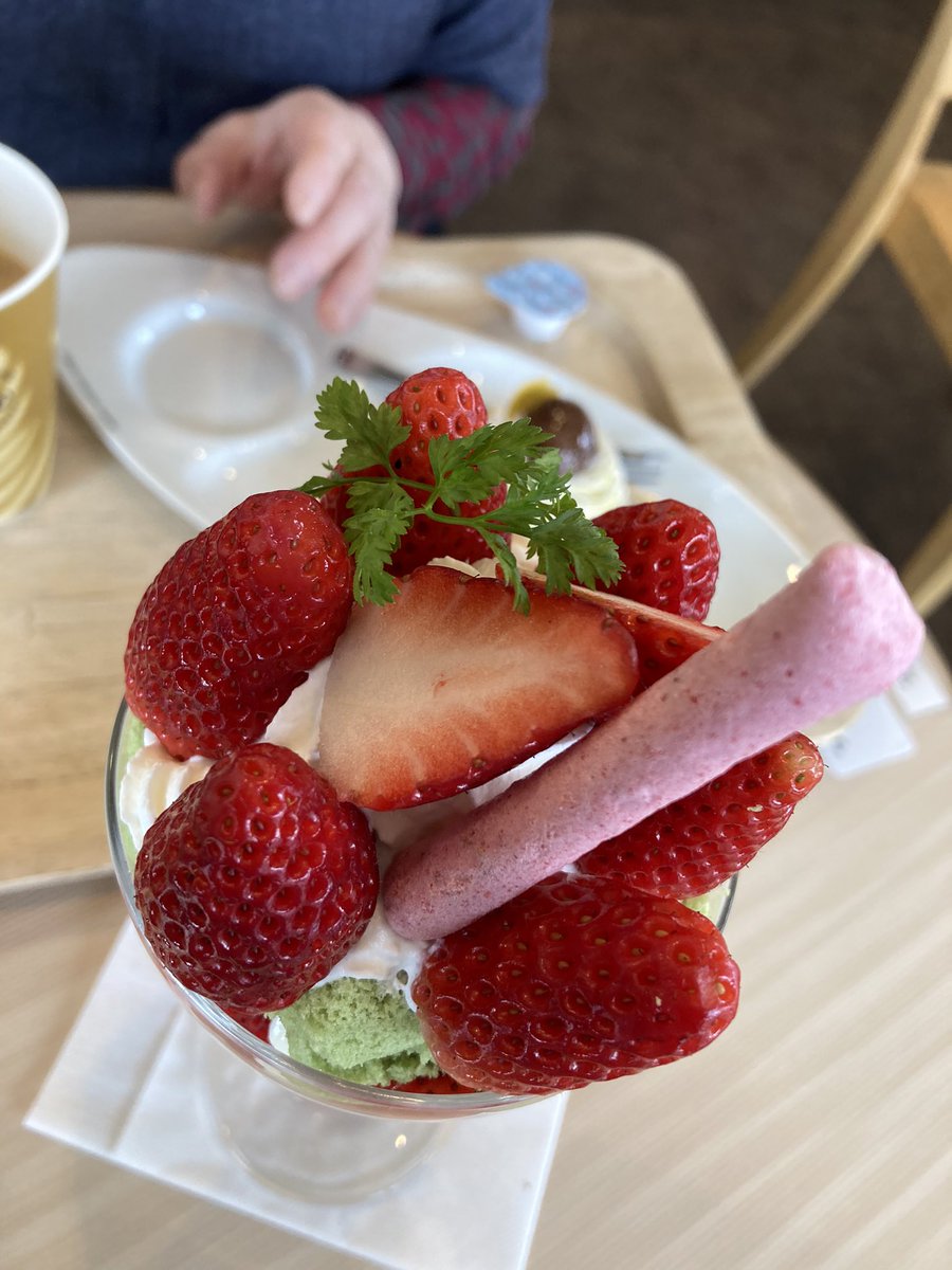 miwacoffee's tweet photo. 久しぶりに、大好きなお店に行ってきました🍓
店員さんに「パフェ、かなり大きいですよー」と確認されたけど、母にいちご１コあげただけで、ほぼ私ひとりで食べました🥰
いちごと、パフェと、コーヒー、
それと親孝行でー、

幸せ☕️💕

#信州里の菓工房
#いちごパフェ  
#コーヒー好き https://t.co/wrKoHsesLf
