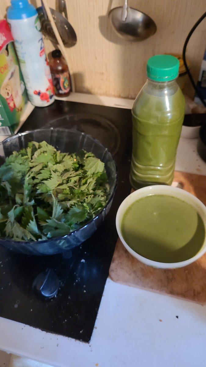 zolyar_twitch's tweet photo. Oh oui mesir ! De la bonne souplette ! #soupe #orties #cuisine #plantes / Faire revenir les oignons et les orties dans une marmite avec du beurre et dans un blender chauffant rajouter un peu de lait de coco, 1 🥕 et 1 🥔 . Ça pousse partout ! Banger et très sous côté !! 😁 https://t.co/k6UTW2DQVh