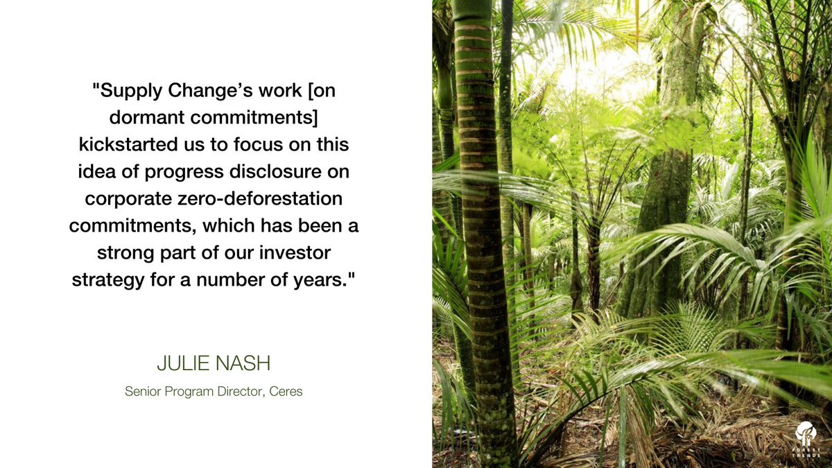 foresttrendsorg's tweet photo. Commercial ag drives 2/3 of deforestation worldwide. We work w/ partners like @CeresNews, @AcctFramework, &amp; @CGF_The_Forum to help investors &amp; companies account for &amp; address deforestation in their commodity supply chains: https://t.co/IMuyhowjna @supply_change https://t.co/JP86XkPsiz