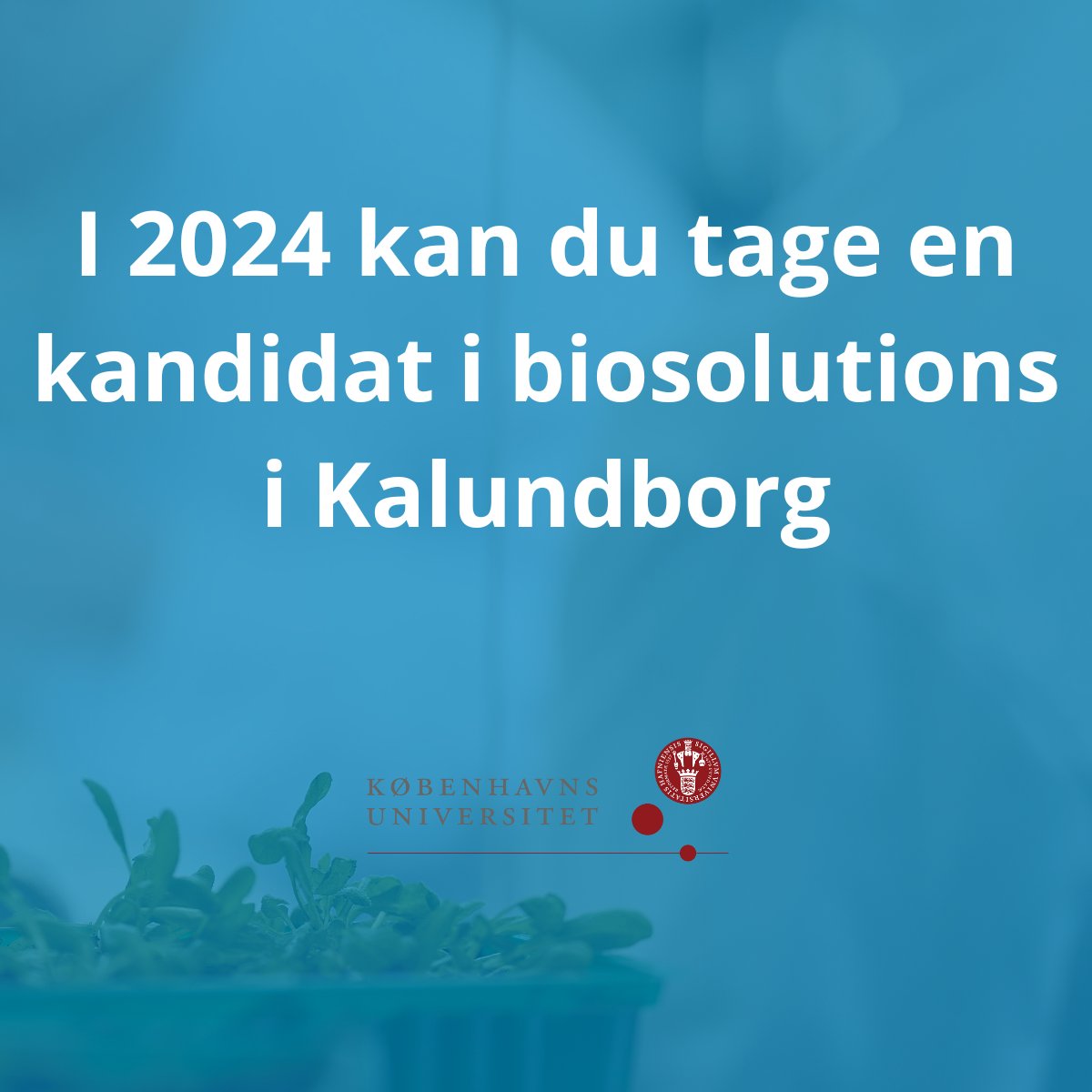 KU_PLEN's tweet photo. I 2024 kan vi uddanne eksperter i BioSolutions, der kan specialisere sig i fremtidens biologiske løsninger! Uddannelses- og forskningsminister @ChristinaEgelun har godkendt en kandidat i BioSolutions på Københavns Universitet i Kalundborg: https://t.co/LuT8elO9T7 https://t.co/x3oEvE7MRO
