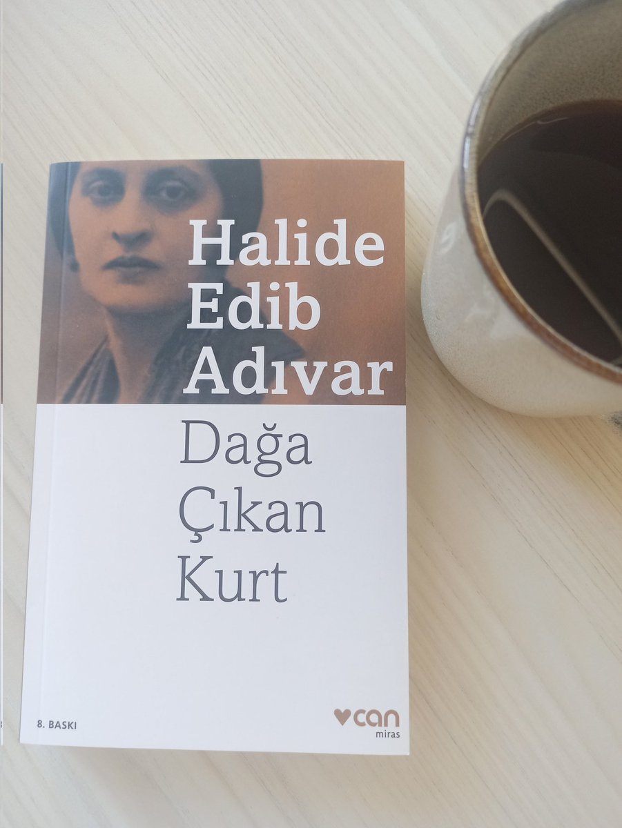 mertozdemirbg's tweet photo. Egemenlik kayıtsız şartsız milletindir. #halideedib #kitapseverlertakiplesiyor https://t.co/Sb5YaYAY8X
