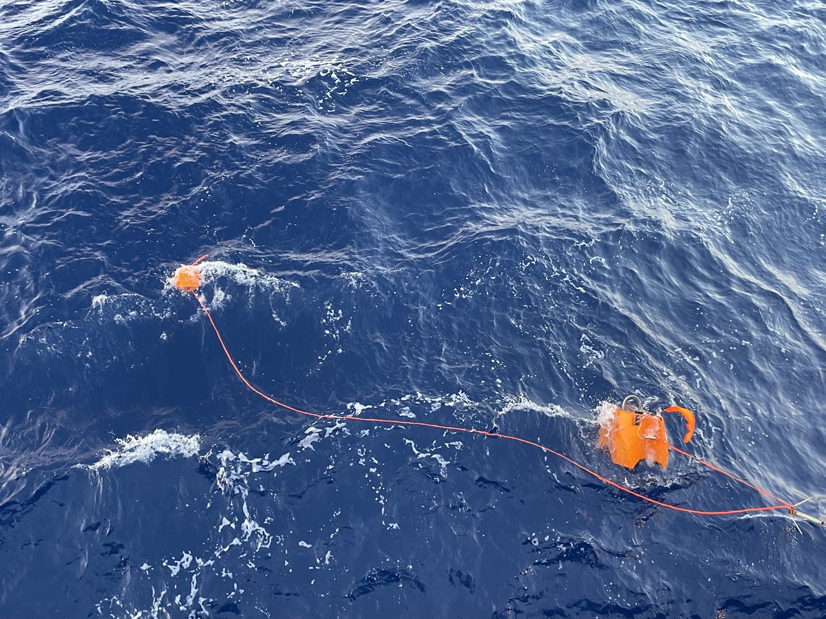 Maria Tsekhmistrenko tweet media