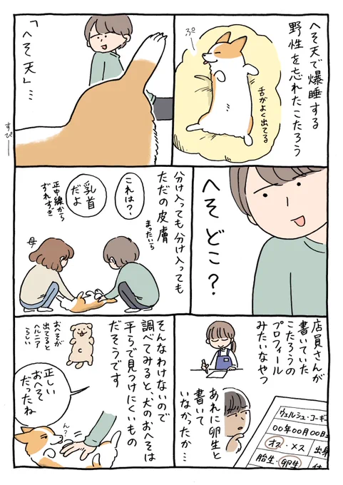 へそ 