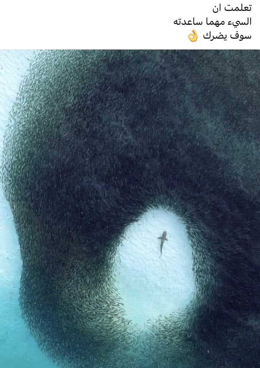 𝒟(αℓɪα) (@dollyfaress) on Twitter photo 