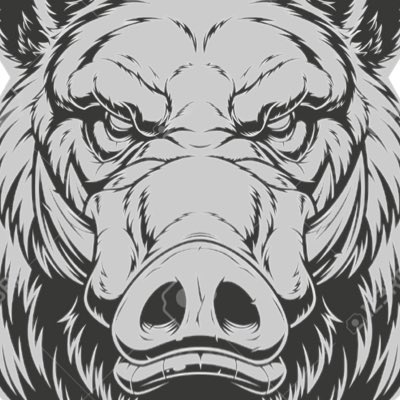 ROYOxSOLOMON's tweet photo. Feeding Season Begins Fuckers 🍽️
#KaiKeFiu #USOGAH🇹🇴🇼🇸
#NewProfilePic https://t.co/xISaM58h36