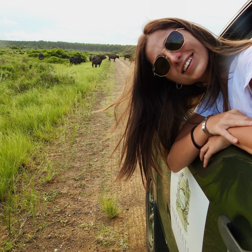 AfricanSafariC2's tweet photo. 📍Makakatana Bay Lodge
Everyday is a great day for a game drive! 🦁🦓
https://t.co/57P5kP1nSu
.
.
.
#makakatana #makakatanabaylodge #safari #africansafaricollective #openspaces #WithPuropose #luxurylodge #kzntourism #isimangaliso #bushandbeach #slowtravel #conservation https://t.co/3Y27e4iGSh