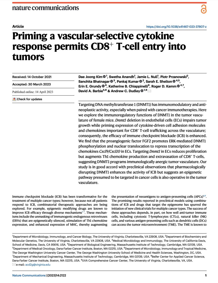 DrewDudleyLab (@drewdudleylab) on Twitter photo Happy to share our latest collaborative work with <a href="/kamm_lab/">KammLab</a> and <a href="/ChiappinelliLab/">Kate Chiappinelli @chiappinellilab.bsky.social</a> <a href="/NatureComms/">Nature Communications</a> where targeting an epigenetic factor in tumor vasculature augments IFN response; blood vessels thus become like "honey to a fly" and permit CD8+ T-cell entry. rdcu.be/c9SFy Happy to share our latest collaborative work with <a href="/kamm_lab/">KammLab</a> and <a href="/ChiappinelliLab/">Kate Chiappinelli @chiappinellilab.bsky.social</a> <a href="/NatureComms/">Nature Communications</a> where targeting an epigenetic factor in tumor vasculature augments IFN response; blood vessels thus become like "honey to a fly" and permit CD8+ T-cell entry. rdcu.be/c9SFy