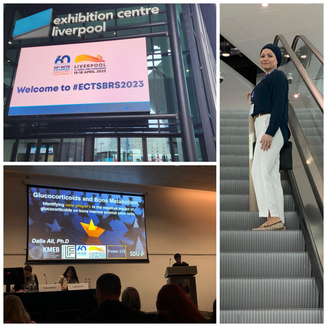 DaliaLadyd's tweet photo. Enjoyed presenting at the ECTS 2023 @ECTS_soc about: Glucocorticoids and Bone Metabolism.
@KMEBLab
@RauchLabSDU
#ECTS2023
#KMEB
#AGING https://t.co/k8gd7ETXmi