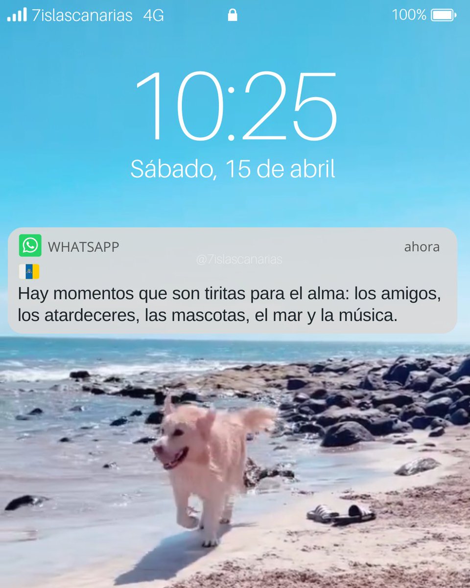 Y cómo nos sanan🩹💙...

#Canarias #IslasCanarias 

📸de fondo: <a href="/nadiagrnadia/">Nadia Guizaoui Ramírez</a>