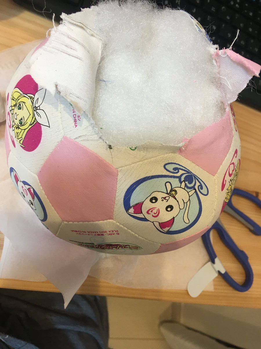 infltbl's tweet photo. 破いてバイバイしました https://t.co/gmbl4VWVol