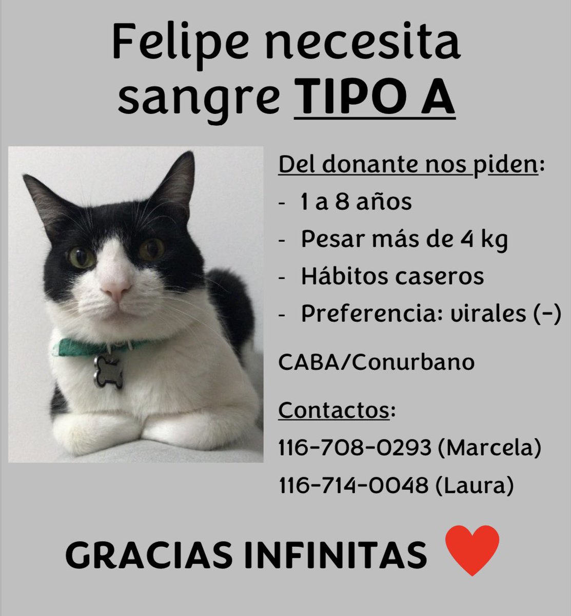 Lauritsi's tweet photo. Felipe anda necesitando donante grupo A y está difícil la cosa, ¿les puedo pedir una mano compartiendo? Gracias ❤️ (@naiosepyan y @MalenaStein me dan una pata con esto porfi?) https://t.co/S0perthUm2