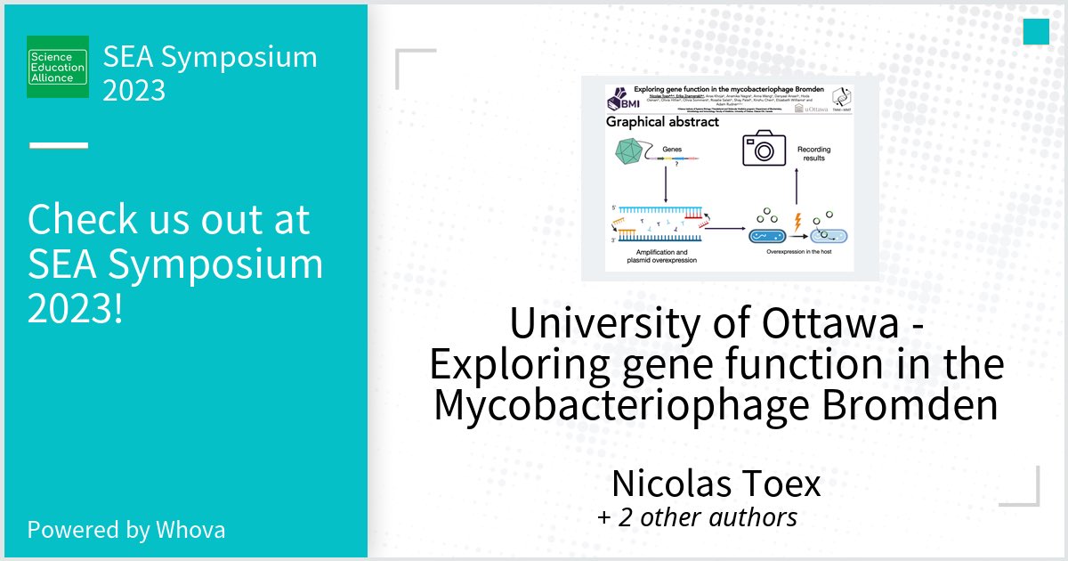 Nicolas Toex tweet media