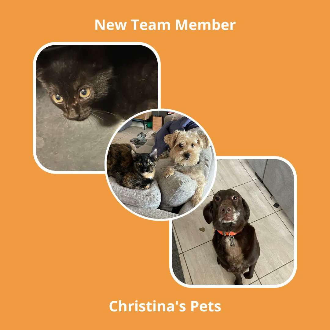 C2MKE's tweet photo. Welcome Christina Beggs to the C2 Team🎉  As our new Client and Accounts Manager, she will be building strong connections in the tech industry and becoming a valuable asset to our #team! 

We look forward to the #growth we will certainly see with Christina on board! 👏 https://t.co/SNaRzci5yD