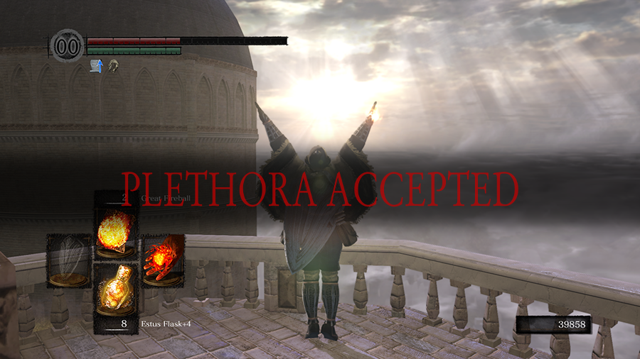 PLETHORA ACCEPTED