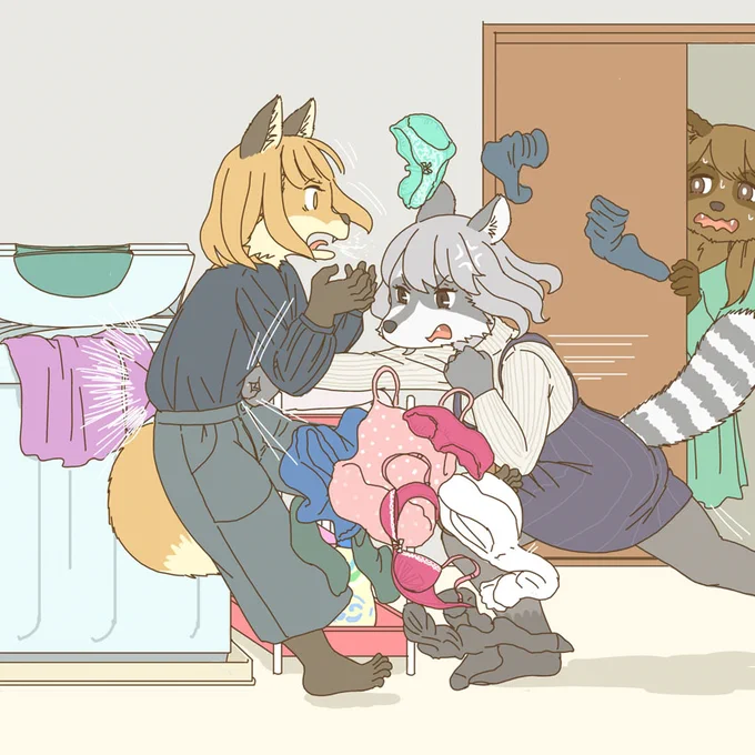 洗濯のルールに厳しいアライグマ 