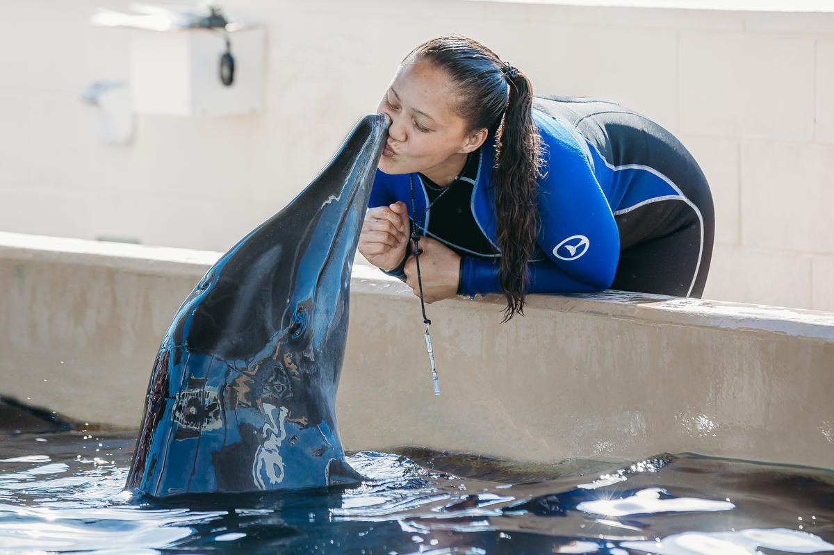 CMAquarium's tweet photo. Sending all the love to our resident rescues on this #NationalDolphinDay! 🐬 https://t.co/dbuG7GwZ4p