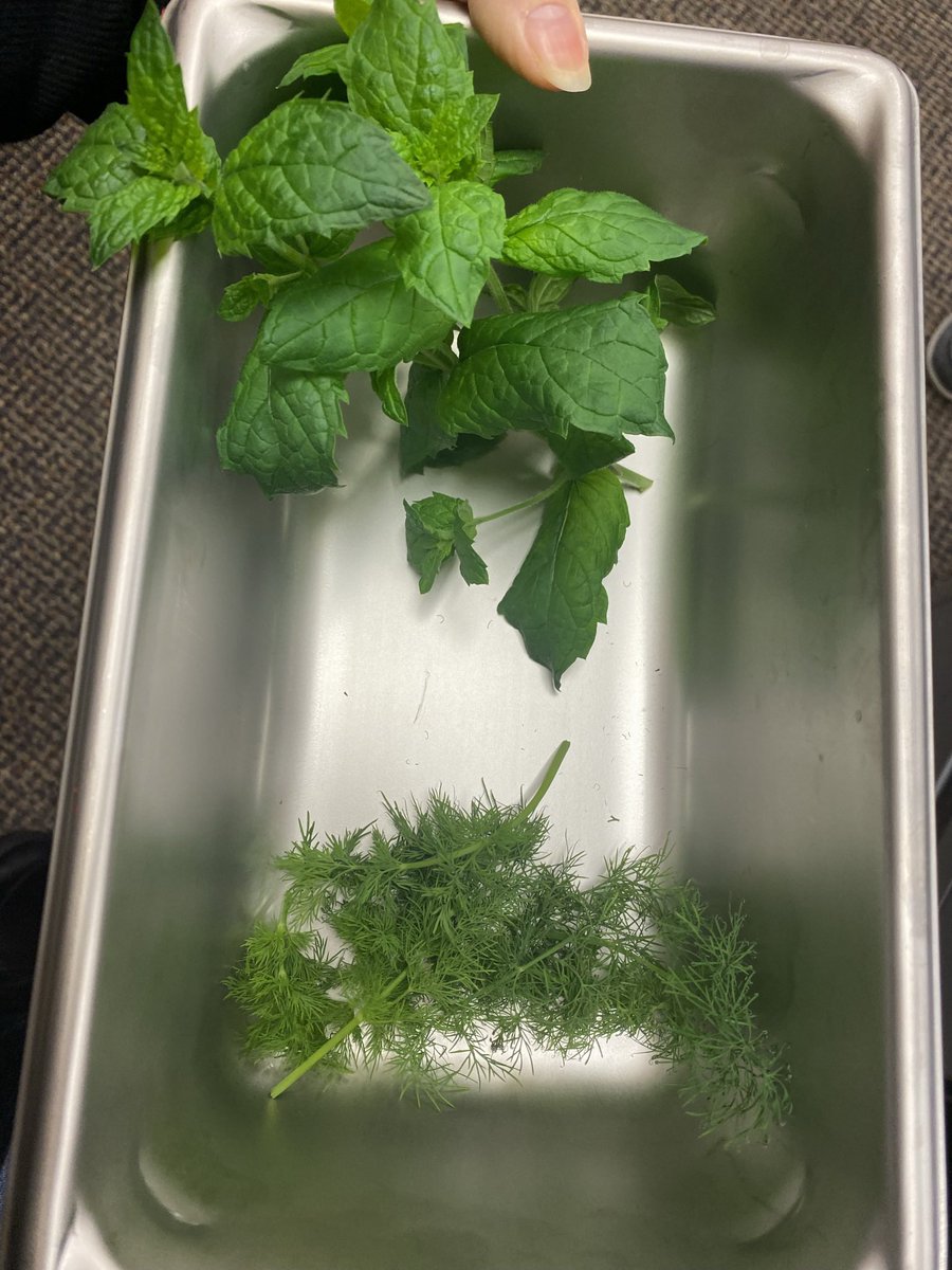 RienasScience tweet media