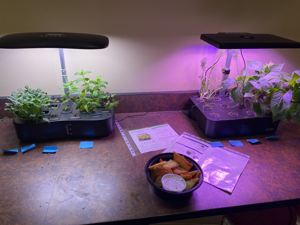 RienasScience tweet media