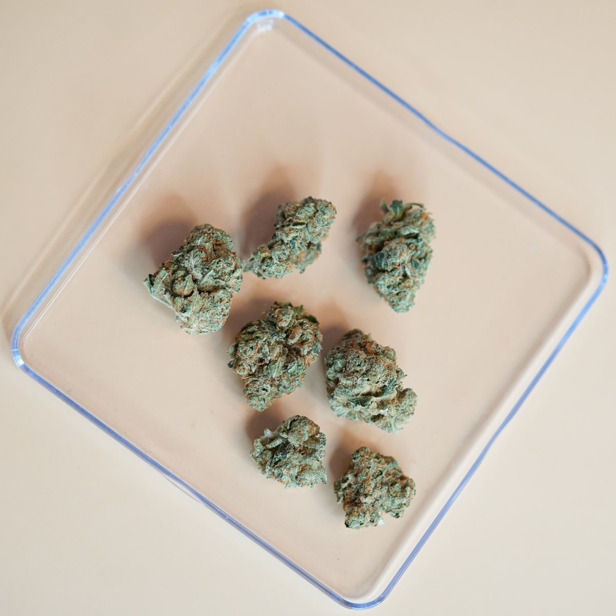 fluresh's tweet image. It&apos;s Flower Friday and we&apos;re celebrating with Apple Mintz!  🍏

It comes alive with creamy, fruity aromas and a smooth, minty inhale 💨

*nothing for sale* content is for education only, must be 21+