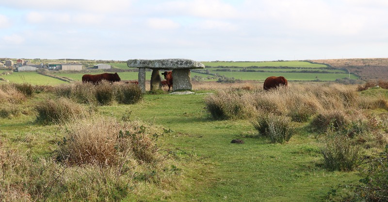 Though Farming projects, we have helped farmers support wildlife-rich landscapes such as downs, moors and cliffs, and to implement sustainable farming practices, demonstrating how productive farmland can support a living landscape. #LovePenwith #NationalLotteryHeritageFund