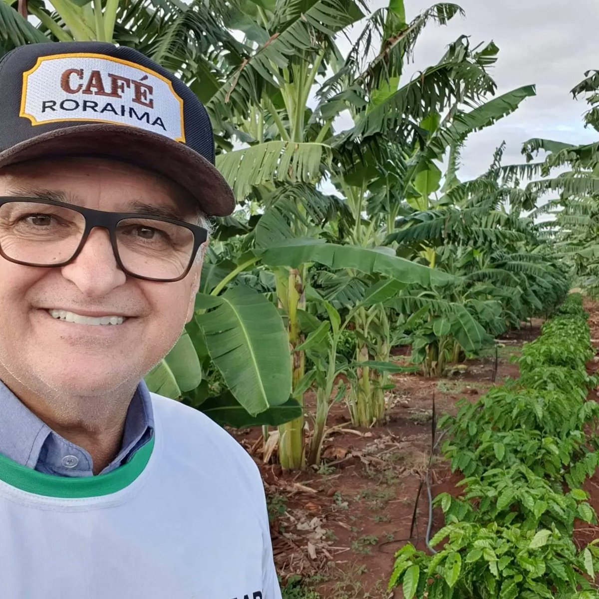 aluizionassi's tweet image. Hoje comemoramos o #DiaMundialdoCafé e o #Café_Roraima vem se destacando com a sua qualidade e como uma promissora cultura.

#AtraçãoDeInvestimentos
#Agro_Roraima 
#Roraima_AMelhorFronteiraAgrícolaDoBRASIL
#Roraima_HemisférioNorte
#GovernodeRoraima