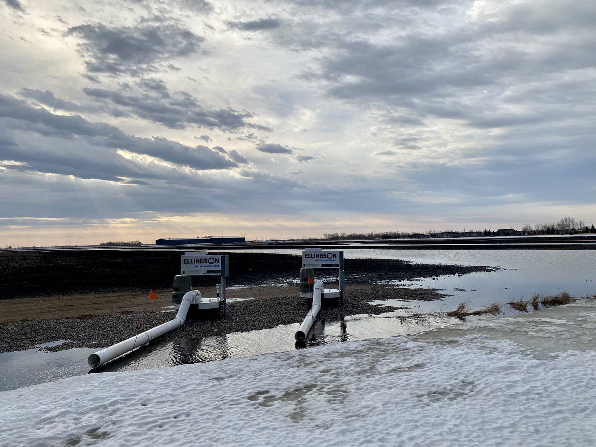 Peyton Loss tweet media