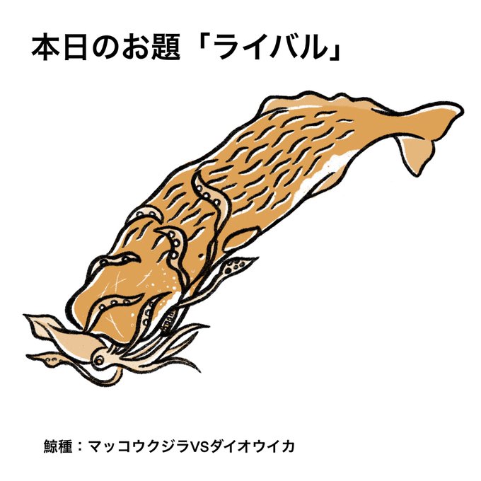 クジラ ジョン・ペリー最高峰❤︎大型ナガスクジラ1975年エボナイト