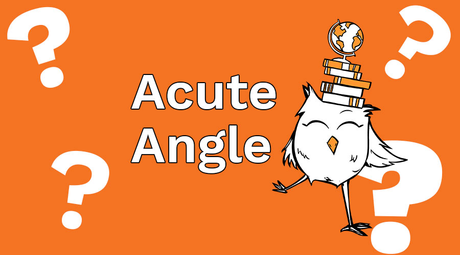 A #math joke to brighten your Friday: What do you call an angle that is adorable? #WootWoot #mathjokes