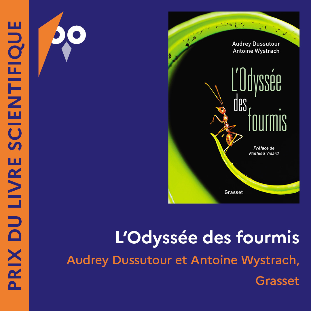 sup_recherche's tweet photo. 🏫 Les trois ouvrages jeunesse seront soumis à un jury composé de deux classes de 6ème, ainsi que le vote d’élèves de 3 écoles pour désigner le lauréat.
Plus d’informations sur ce prix 👉https://t.co/OsqCVIhavn
Cc @humensciences / @FleurDaugey / @PierreVequaud / @Docteur_Drey https://t.co/NjrOuyXBQ0