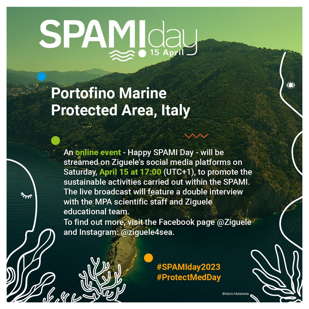 SPARACinfos's tweet photo. Tomorrow is the 2nd edition of SPAMI Day, a day to celebrate the Specially Protected Areas of #Mediterranean Importance and marine #biodiversity conservation. Check out some of the #events happening in #SPAMIs ⭐️🌊
Learn more about #SPAMIday2023 👉🏻https://t.co/RVf1jEGmLz https://t.co/PAwnfhQZ1i