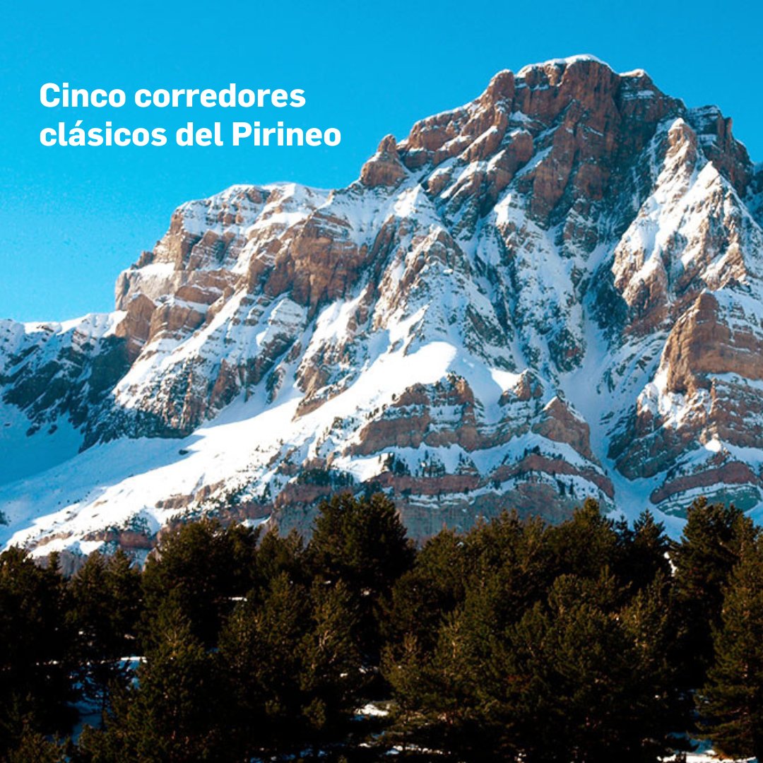 Hoy en nuestro blog hablamos de corredores clásicos del Pirineo.
✅ La gran Diagonal
✅ Corredor del Gaube
✅ La Fourché
✅ Corredor Swan
✅ Corredor Estasen
¿Crees que nuestro top 5 tiene alguna falta? 
El post completo aquí 👉🏻bit.ly/3KFlXAI