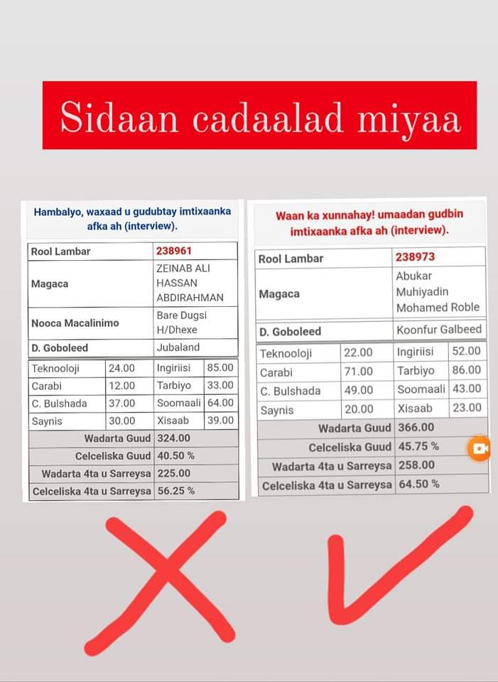 soomaliteachers's tweet photo. Aaway Cadaaladii Wasiir @faaraxsheekh  balanaqaaday hanaanka loo mareeyay  imtixaankii qoraalka macallimiinta @moechesomalia tuhun badan ayaa ku Gadaaman!!!

Natiijada soo baxday cabashadeeda waa in si dagdag ah loo xaliyaaa oo  daah furan.

Gudigana horyimaadaan Macallimiinta. https://t.co/BIY5RJZC3T