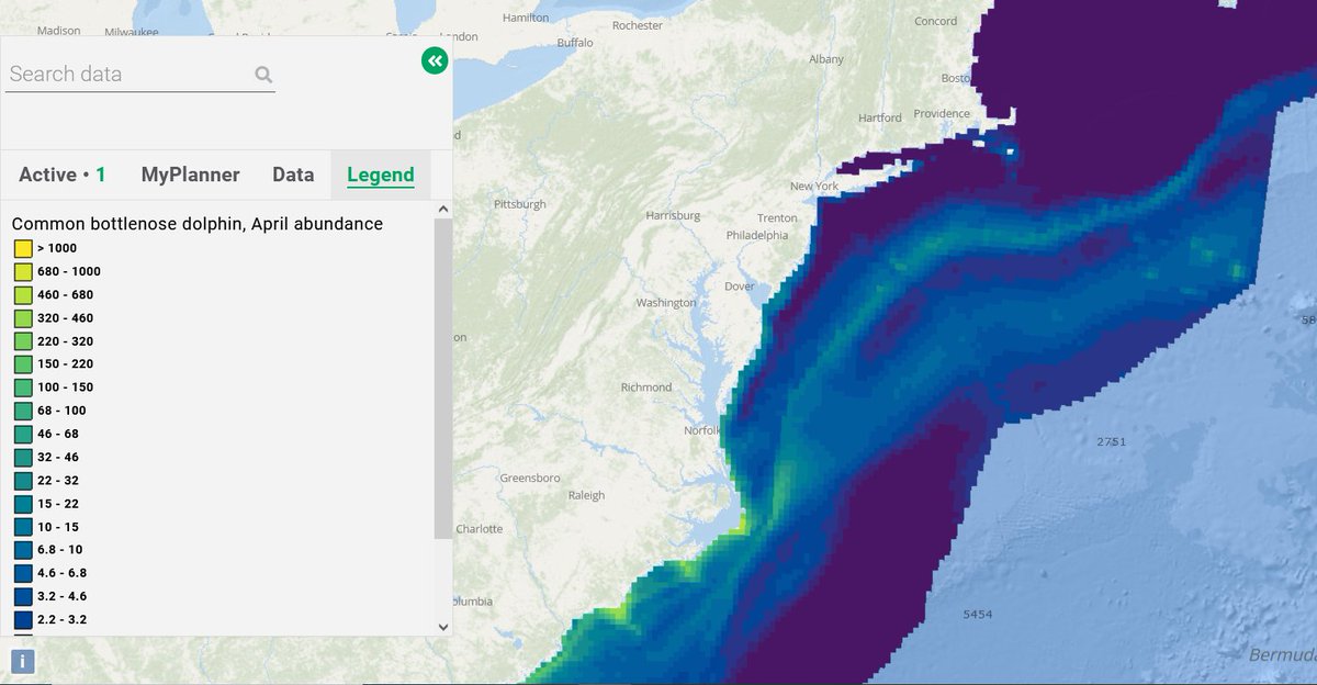 It's #NationalDolphinDay 🐬 Use our Marine Life Library to learn about #dolphin distributions along the Mid-Atlantic coast, like this map modeling typical bottlenose dolphin abundance in April.
@Duke_MGEL