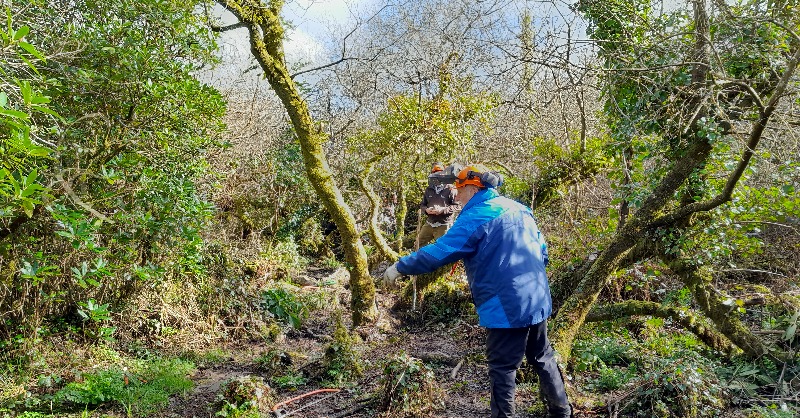 Our work has shown how Penwith’s past connects to the present. By improving physical and digital access to cultural sites, people can continue to learn about #Penwith’s heritage. Discover our digital offerings: penwithlandscape.com/trails-and-anc… #LovePenwith #NationalLotteryHeritageFund