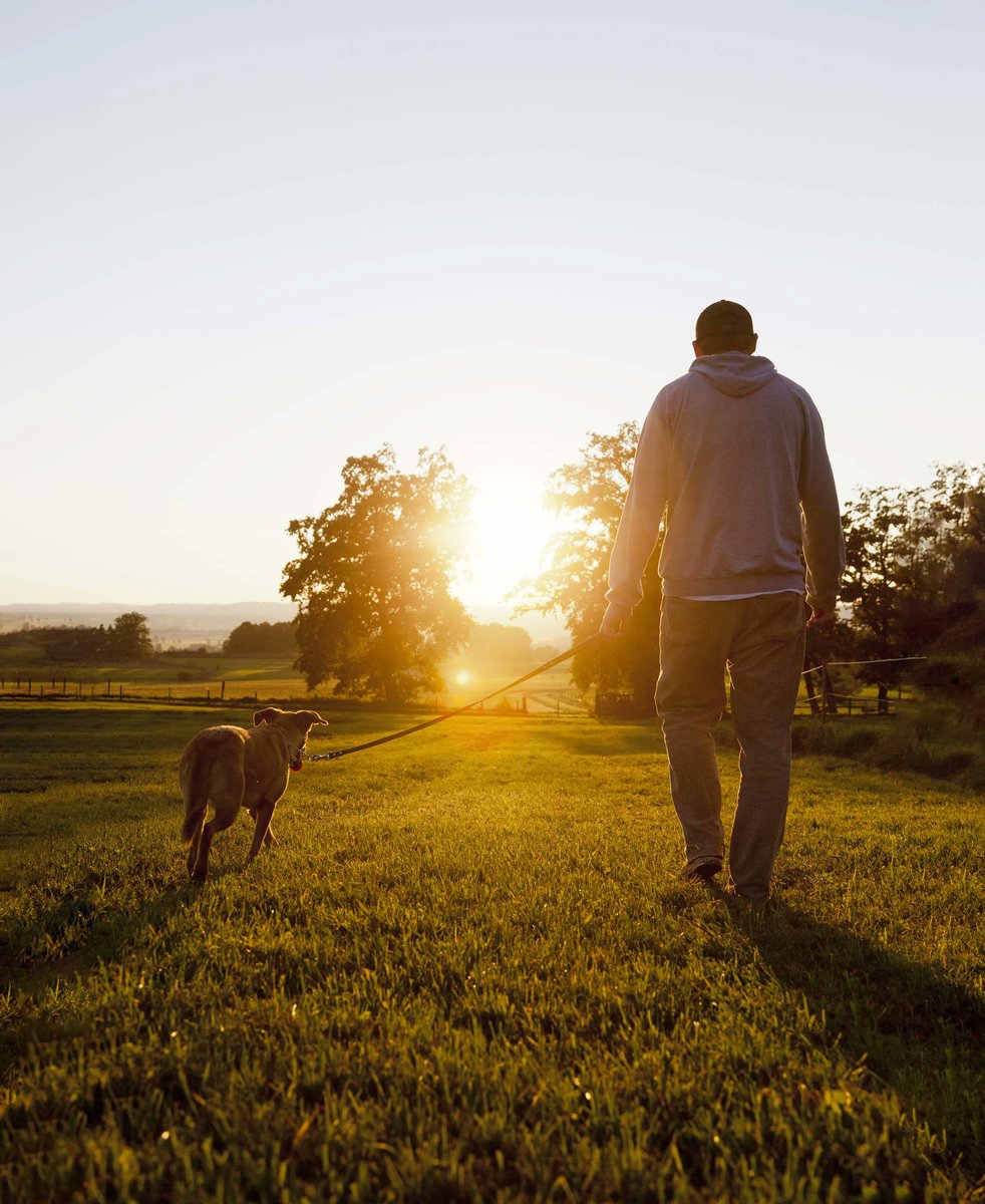 In San Diego on April 29? Join Magellan for NAMIWalks San Diego &amp; Imperial Counties at Preble Field in NTC Park. The event is a great way to help make a positive impact on mental health in the community. Learn more here: buff.ly/3K00Jyv 

#NAMIwalks #MagellanHealthcare