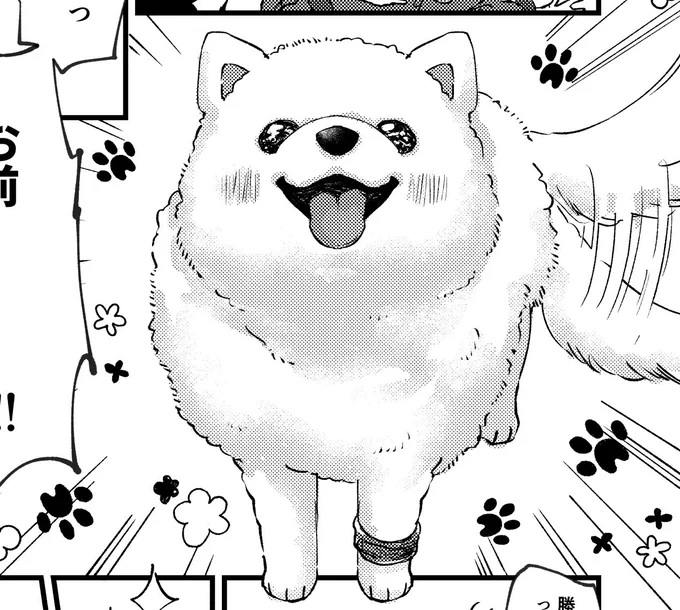原稿進捗🐾犬がたくさんのページをこさえた 