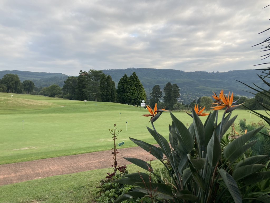 rina_delrey's tweet photo. 南アフリカの良い所は、
ゴルフが安く回れること🏌️‍♀️✨
絶景のコースではアフリカらしい植物や、動物たち🦌にも出逢えますよ😳💓
#南アフリカ #海外生活 https://t.co/v9jYCrw2HG