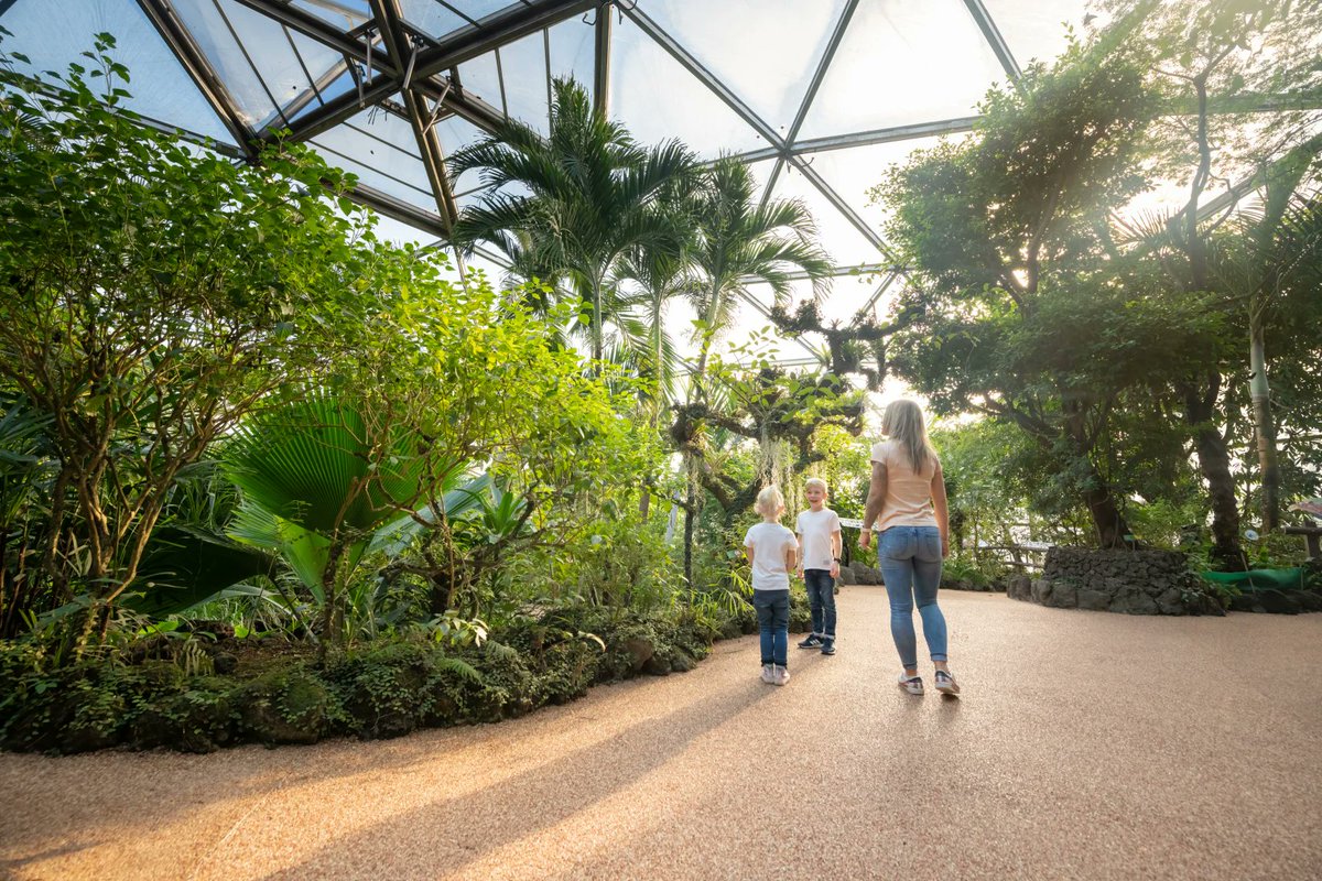 Der Schweiz-Experte tweet media