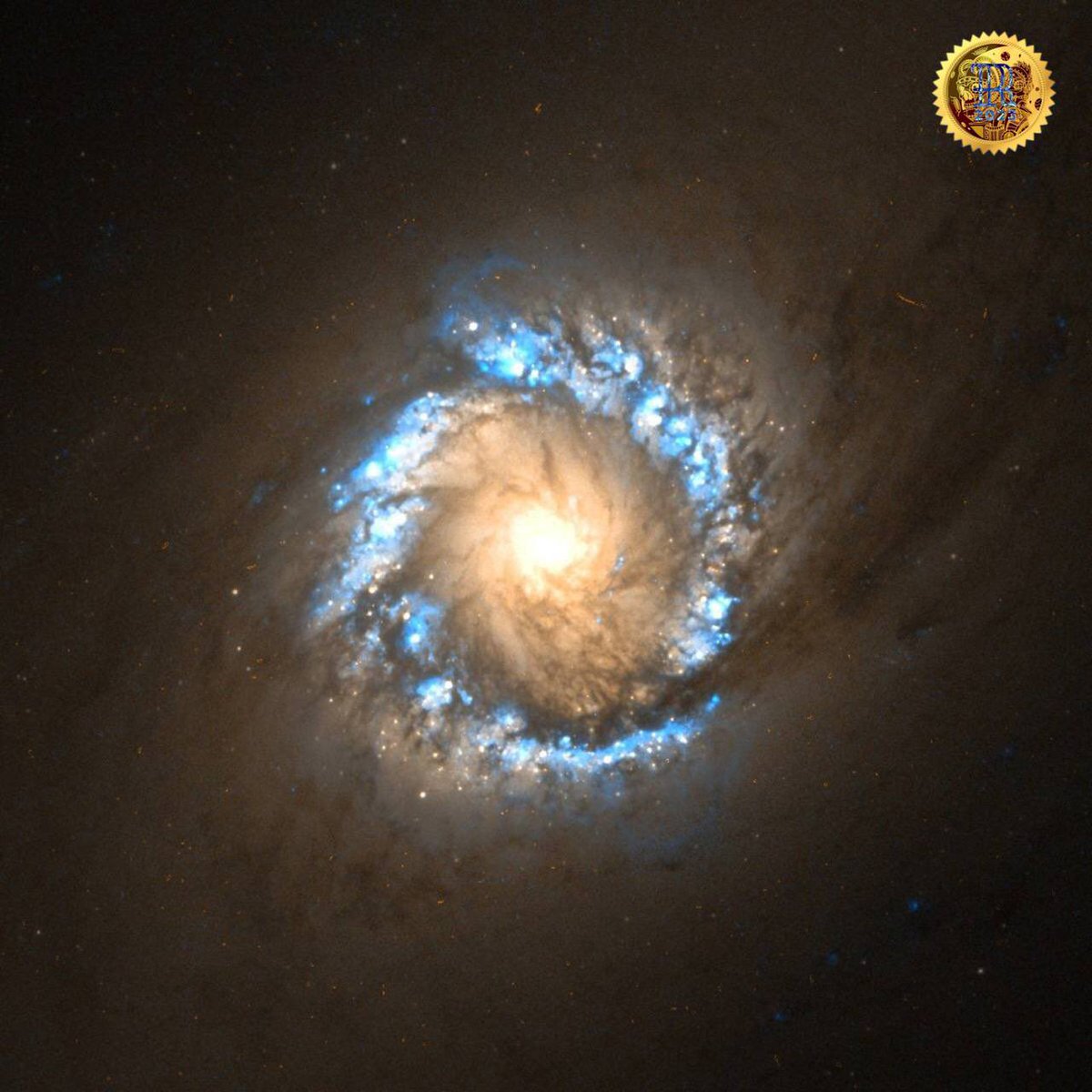 🎙RobotokenRadio©  🤖 tweet media