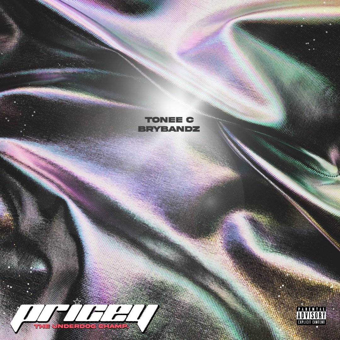 artbyendlessP's tweet photo. PRiCEY! 💎 @toneecofficial 
unused artwork </3 https://t.co/7v3UfRYgan