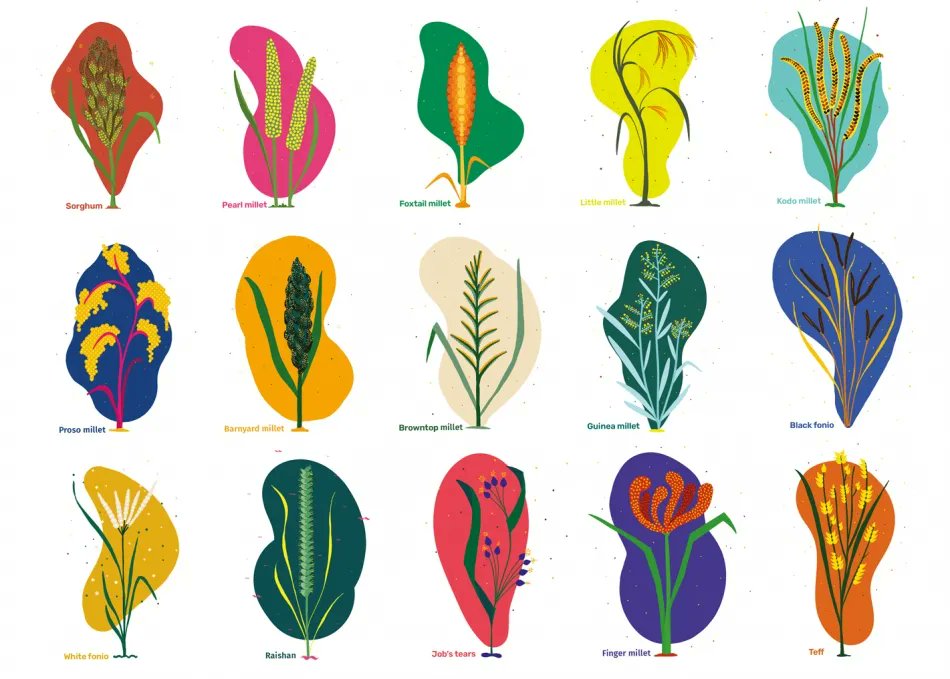 The Crop Trust tweet media