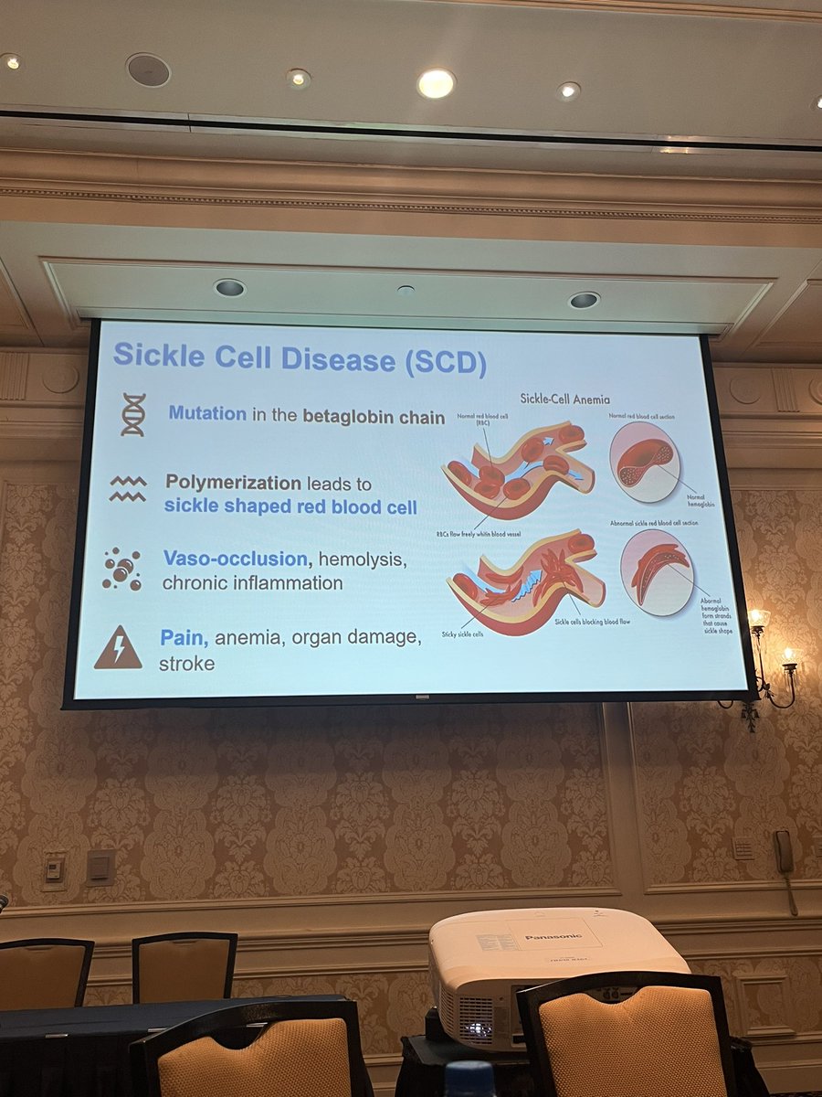 KateSadlerPhD's tweet image. So happy to see sickle cell disease pain getting the plenary spotlight at #USASP2023! Beautiful talk by Dr. Soumitri Sil!