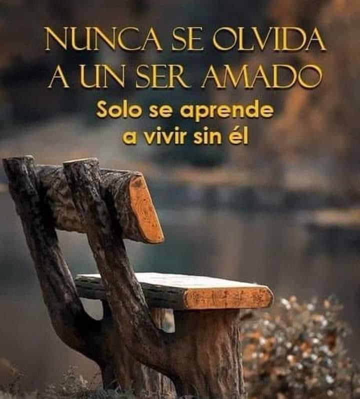 SoyMikeZazueta's tweet photo. #Buendia saludos https://t.co/Ofii3Hw1Hw