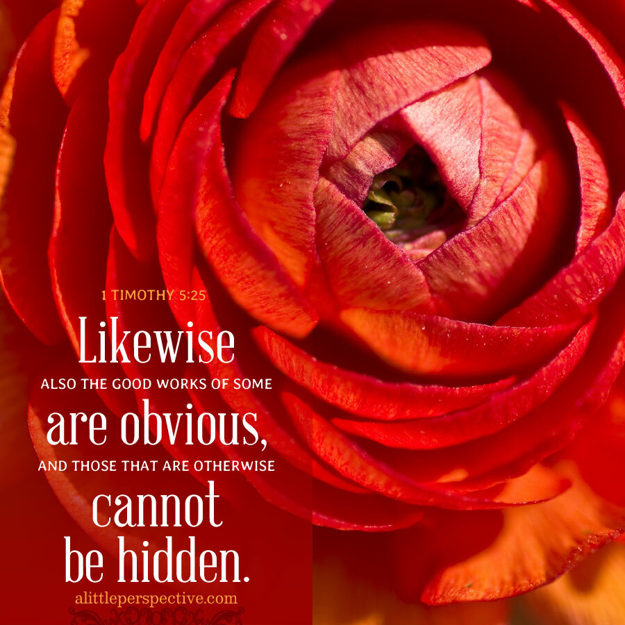 Christine982Mil's tweet image. Likewise also the good works of some are obvious, and those that are otherwise cannot be hidden. 1 #Timothy 5:25 #TimothyPastorals
1 Timothy 5 #ChiasticStructure:
alittleperspective.com/1-timothy-5-20…